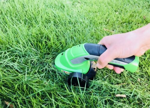 庭の手入れが楽になる！メンテナンスフリーな庭づくりのコツとおすすめアイデア