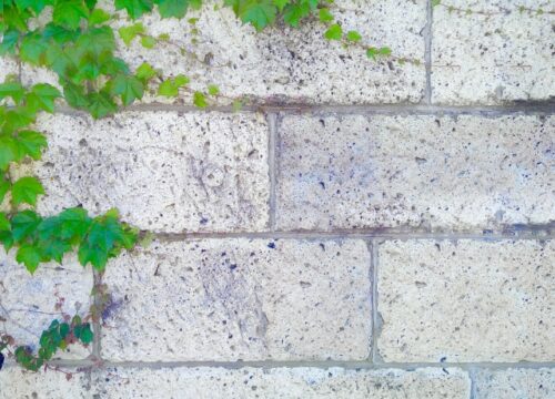 庭に自然の風合いを！大谷石の特徴・活用アイデア・注意点を解説