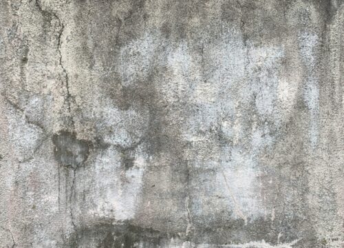外構リフォームのタイミングはいつ？危険サインと優先度別チェックリスト